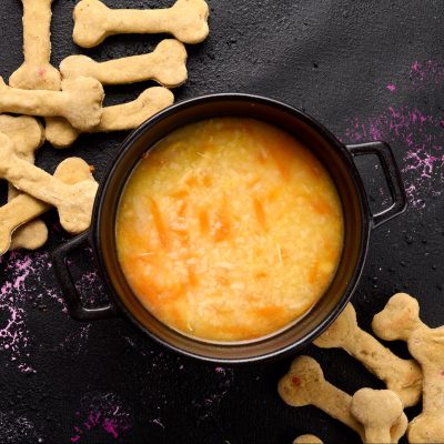 Չորսոտանի ընկերների համար